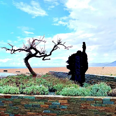 D Ete * 프로프리아노