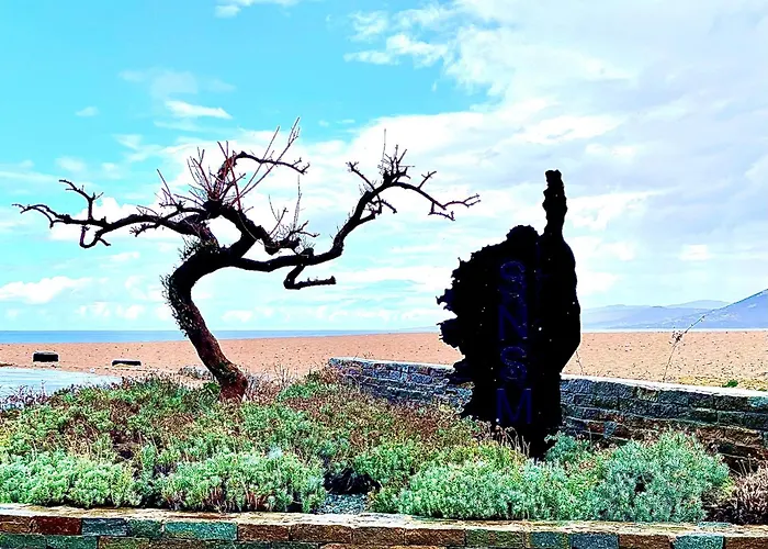 D Ete * Propriano (Corsica)